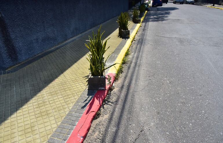 El amarillo significa no estacionar, pero permitido detenerse. El rojo prohíbe estacionar y detenerse.