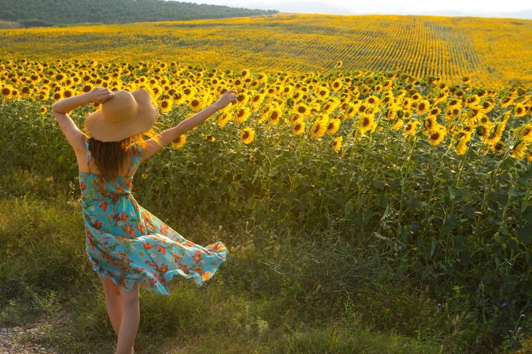 Tiempo de verano, una joven demuestra su felicidad ante un gran campo de cultivos de girasol.