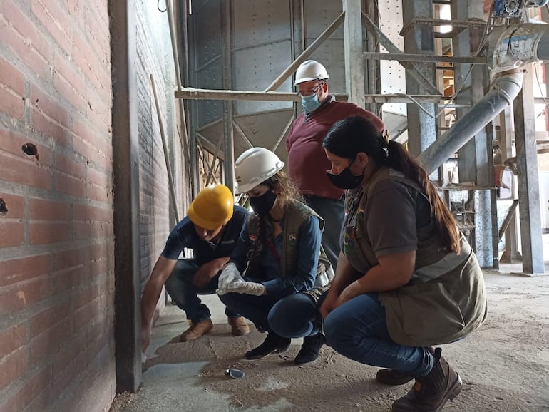 Técnicos del Senave realizando el control en un silo granelero.