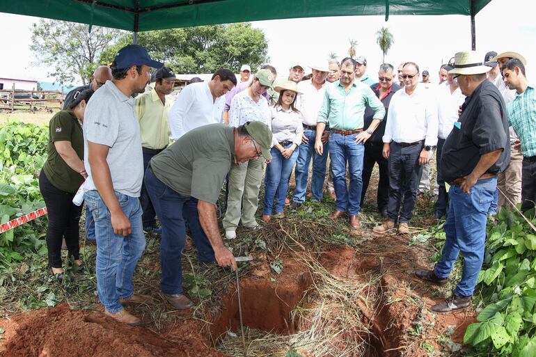 El Ing. Charles Benítez, mostró una parcela de recuperación de suelo a base de abono verde, mucuna.