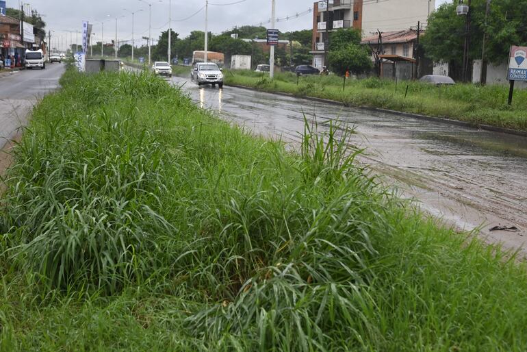 Malezas, baches, arena, y suciedad adornan la ruta PY03.