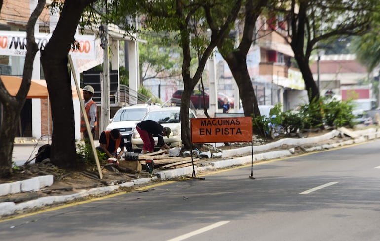 Los trabajos continúan en la avenida Fernando de la Mora. En la foto, obreros trabajan en los cordones del paseo central. 