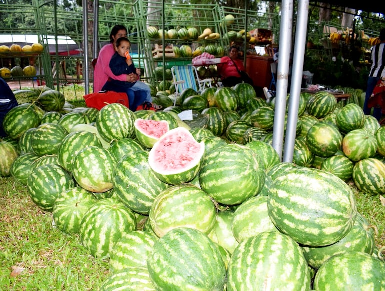 La producción de sandía es una ocupación de cientos de trabajadores rurales y pequeños agricultores en Trinidad.