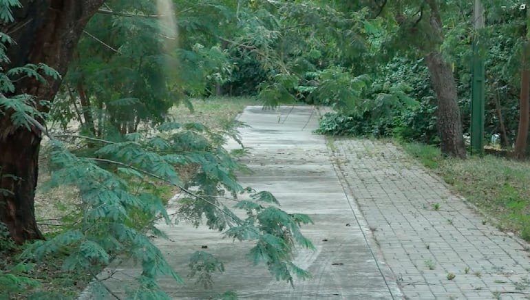 Imagen de abandono que abunda en todos los sectores del Parque Urbano de Asunción