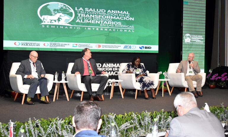 Dr. Pedro Galli, en el Seminario sobre Salud Animal, organizado por IICA, OMSA, Senacsa y MAG, en el Sheraton de Asunción, días atrás.