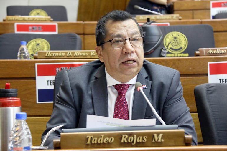 Tadeo Rojas, ministro de Desarrollo Social. 