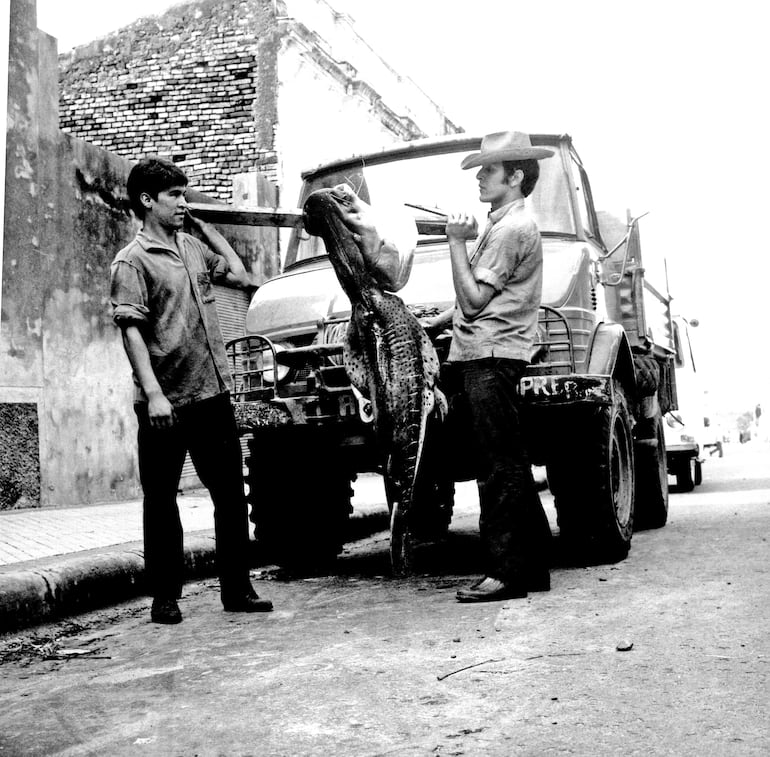 Surubí gigante de 60 kilos pescado en Villeta en 1970.