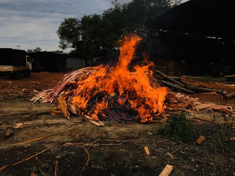 La droga fue incinerada en una laminadora de Minga Guazú.