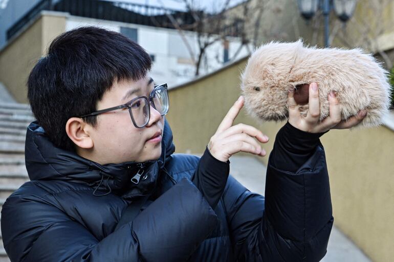 Zhang Yachun jugando con su robot impulsado por inteligencia artificial llamado Aluo en un centro comercial de Pekín.