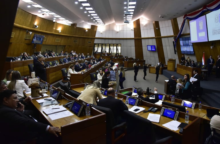 La Cámara de Diputados solicitó informes sobre otros departamentos donde concejales no estén cobrando.