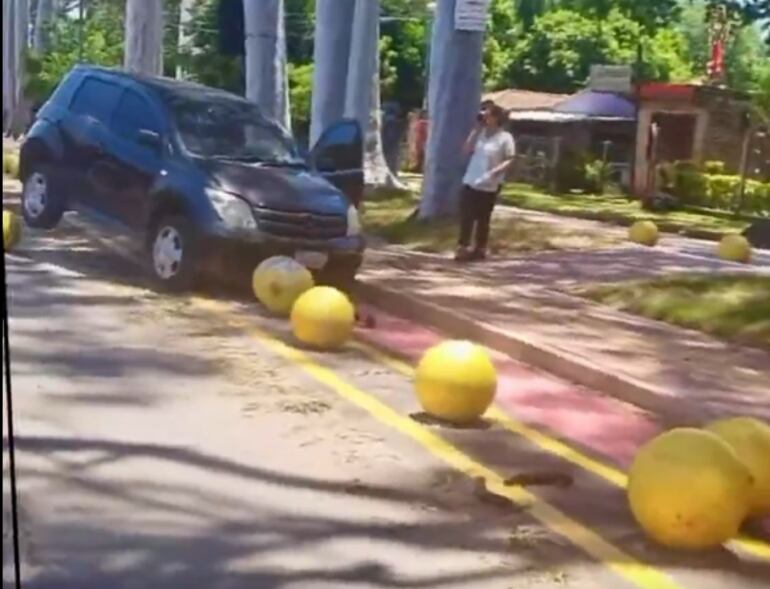 Un vehículo chocó contra bolardos de la bicisenda sobre la avenida Victorio Curiel en San Lorenzo.