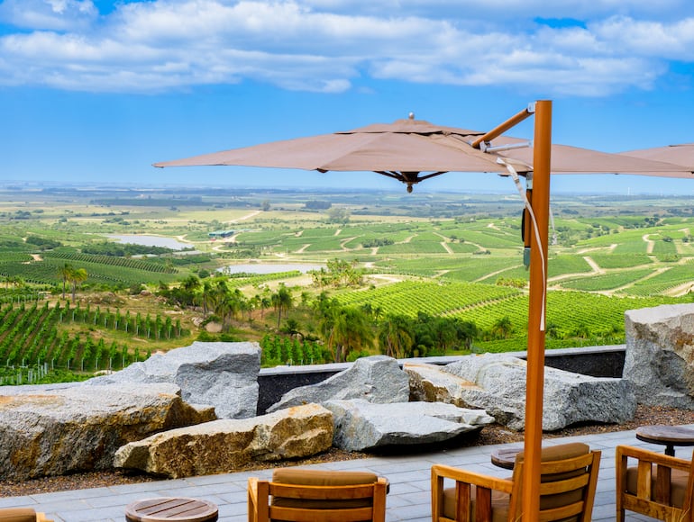 Bodega Garzón, Maldonado, Uruguay.