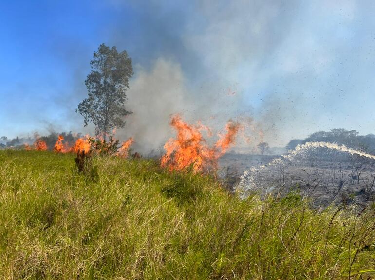 El incendio se originó en un predio contiguo a Albiróga.