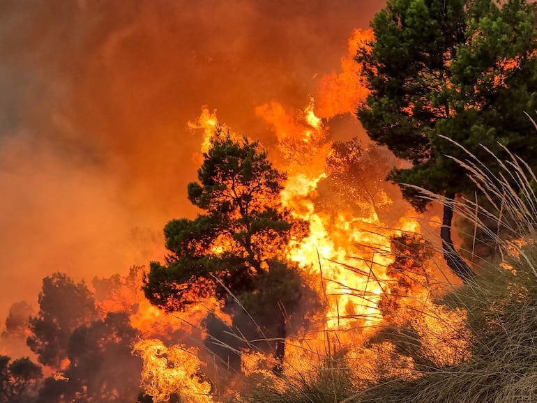 Incendio forestal.