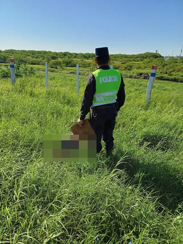 Hallazgo del cadáver de una mujer en Mariano Roque Alonso.