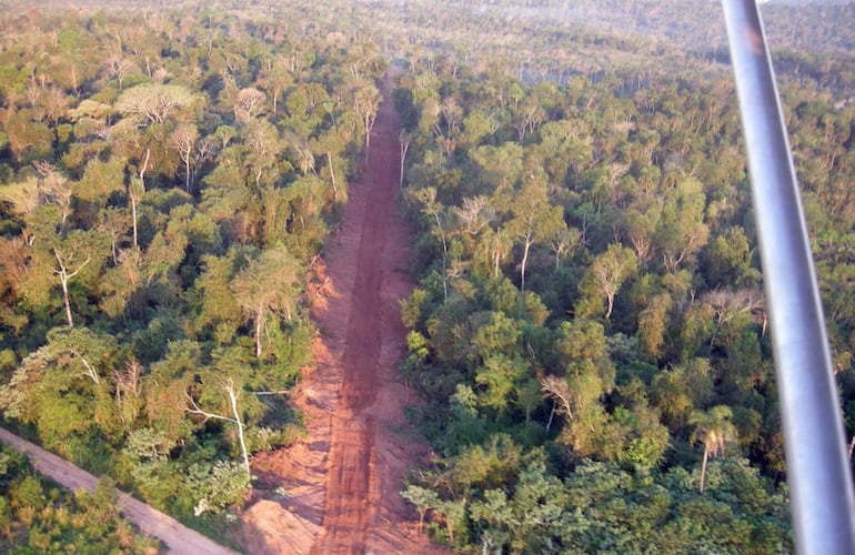 Vista aérea del Parque Nacional San Rafael, la última gran extensión de bosque atlántico del sur de Paraguay.
