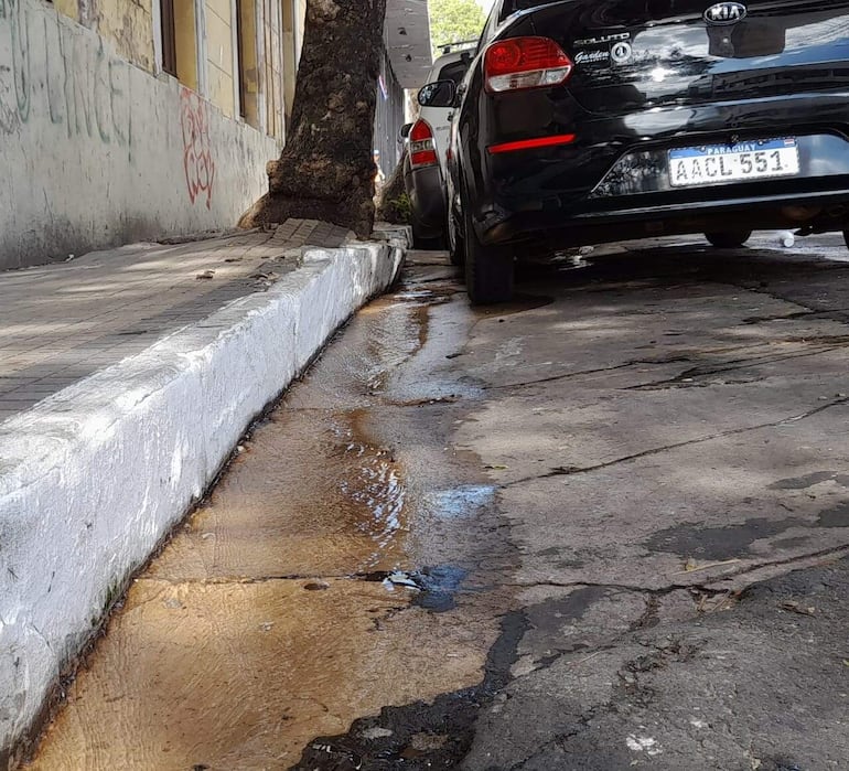 Hace un mes un caño roto expulsa gran cantidad de agua potable en Nuestra Señora de la Asunción casi Haedo.