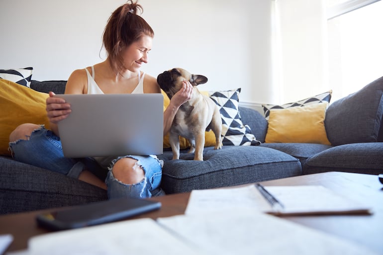 Trabajo remoto con mascotas.