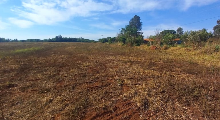 Predio donde una familia procedió a plantar soja sin barrera de protección como lo exige la ley y sólo a metros de una escuela.