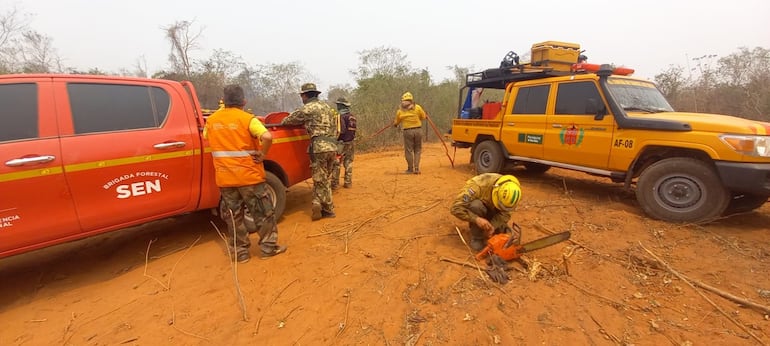 Personal de la SEN, bomberos voluntarios, militares y empleados de estancias, de nuevo se organizan para combatir los focos de calor, esta vez dentro del mismo parque Chovoreca.