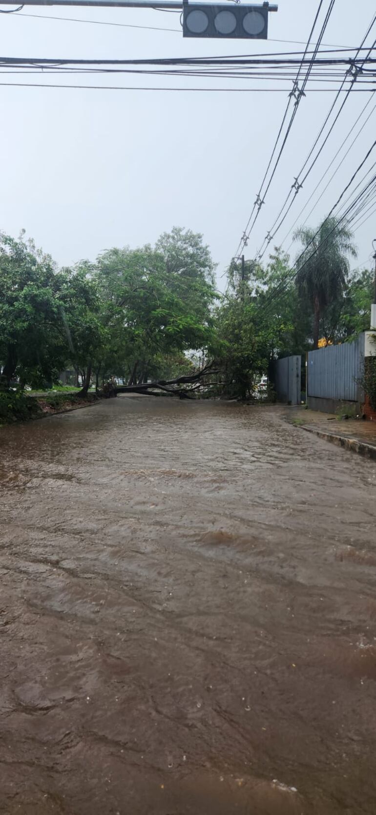 Raudales en Asunción, durante la lluvia de este jueves.