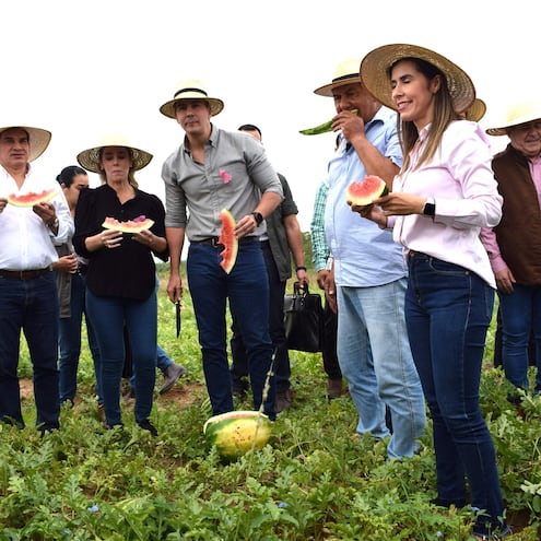 Santiago Peña (c) visitó ayer una finca de productores de sandia en la compañía Mbatoví, distrito de Paraguarí.