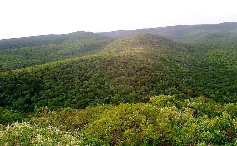 En el Parque Nacional Defensores del Chaco aún viven grupos de cazadores-recolectores ayoreos, los últimos pueblos aislados de América fuera del Amazonas.