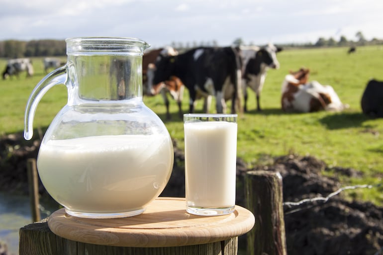 Día Mundial de la Leche.