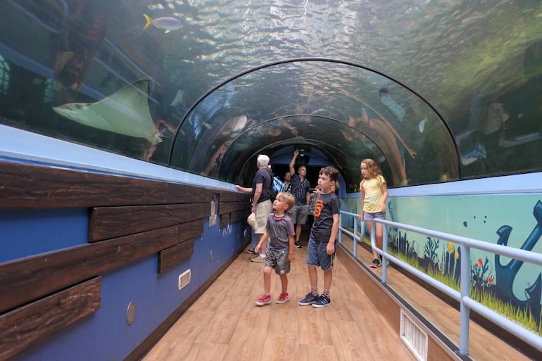 Sea Life Sydney Aquarium.