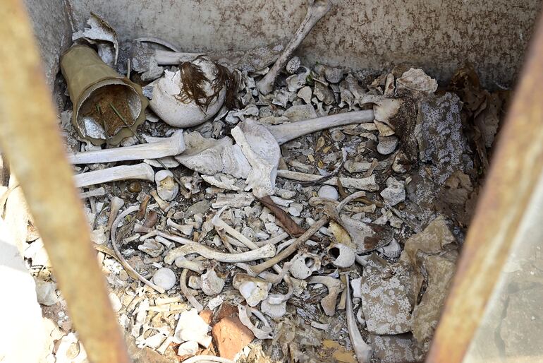 Huesos esparcidos al aire libre, entre tumbas abiertas, ataúdes destrozados, placas robadas y panteones destruidos, en el Cementerio de la Recoleta.