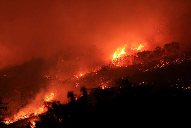 Incendio forestal.