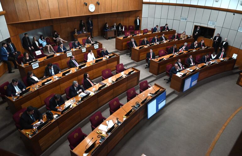 Plenaria de la Cámara de Senadores.

Fernando Romero 30-06-23