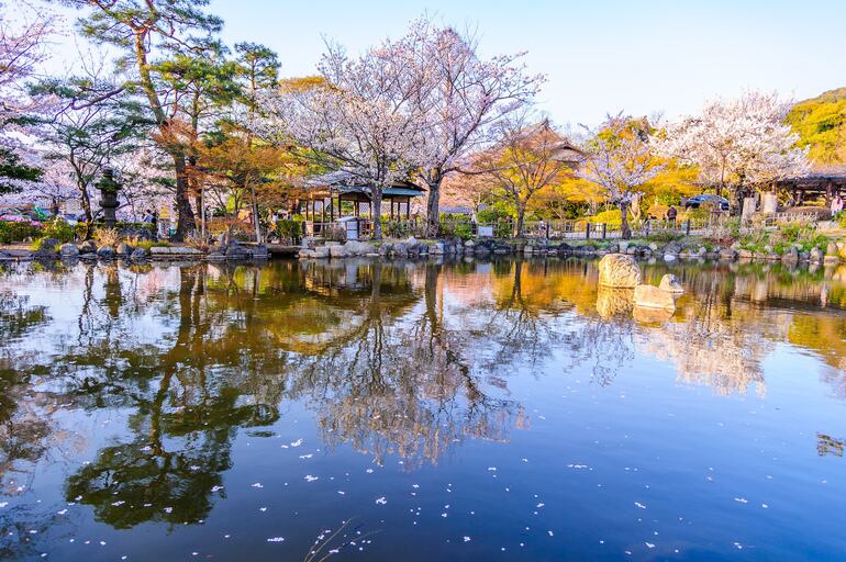 Parque Maruyama, Kyoto, Japón.