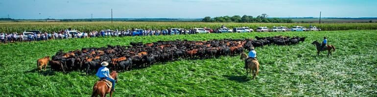 Fotografía gentileza del gremio Brangus Paraguay del Congreso AL Brangus realizado recientemente en nuestro país.