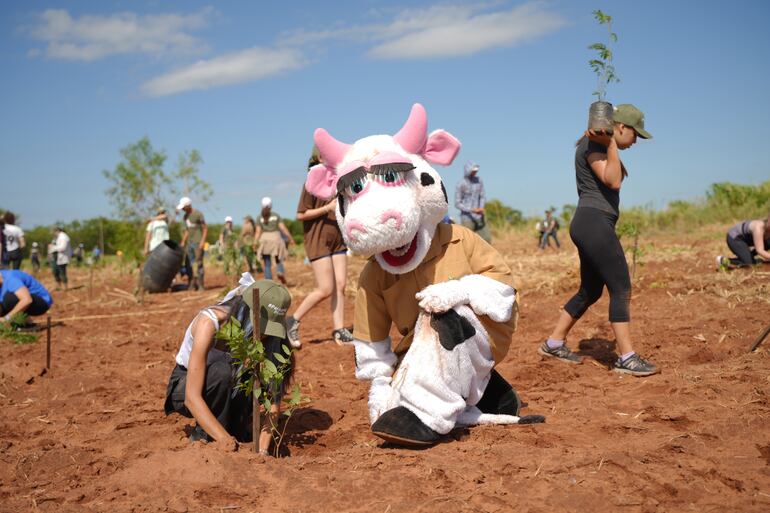 A Todo Pulmón suma miles de nuevos árboles en la octava edición de Paraguay Planta.