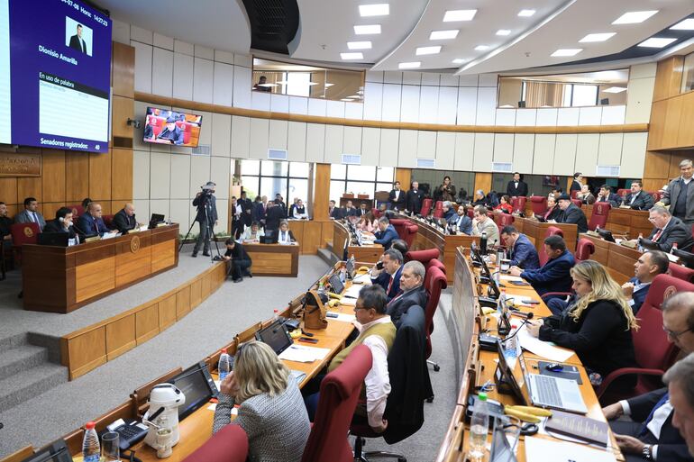 Sesión de la Cámara de Senadores este lunes.