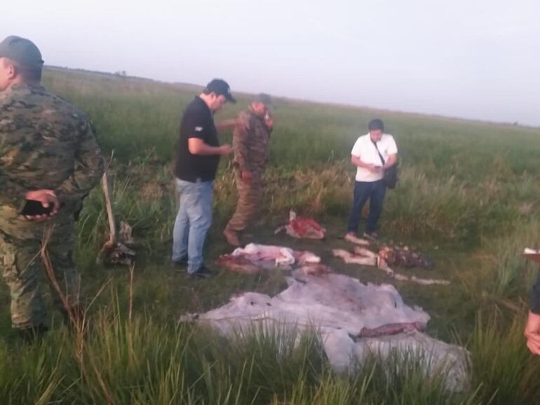 El agente fiscal Jorge Encina, junto a la brigada antiabigeato, verifican las evidencias encontradas en un esteral en donde supuestamente se realizó el faenamiento clandestino de un animal vacuno.