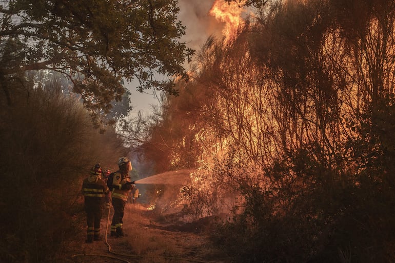 Imagen de referencia: bomberos combatiendo las llamas de un incendio forestal.