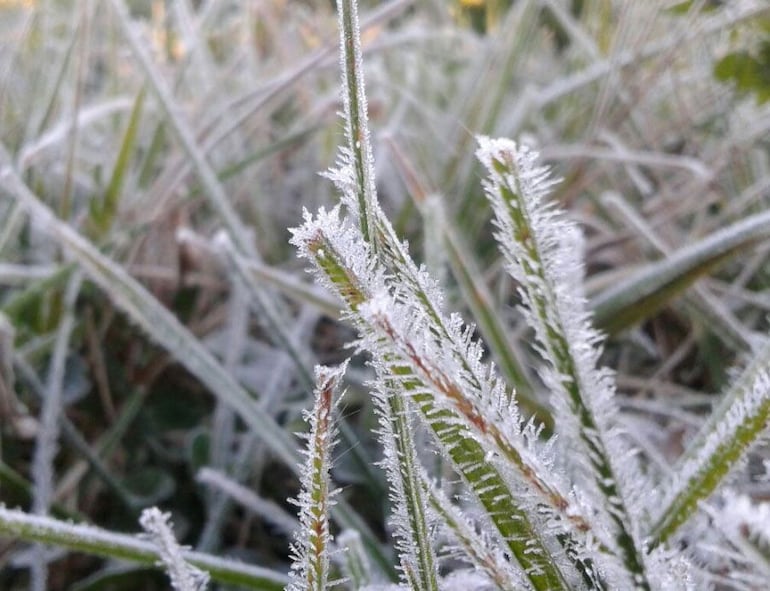 La temperatura mínima más extrema que se registró en el Paraguay es de -7,5°C.