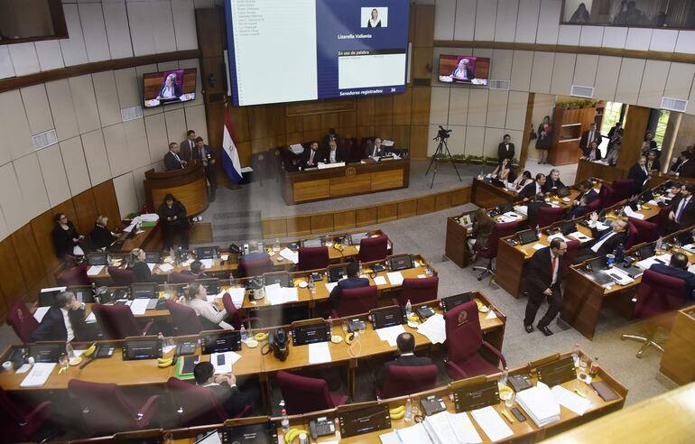 En sesión extraordinaria Senado trata el proyecto de ley de presupuesto 2025