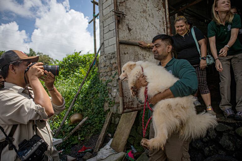 El consumo de perros y gatos es una costumbre tradicional en Indonesia.