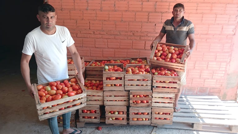 Los hermanos  Abel (I) y Adilio Brítez(D), con sus tomates de primera calidad que no pueden vender.