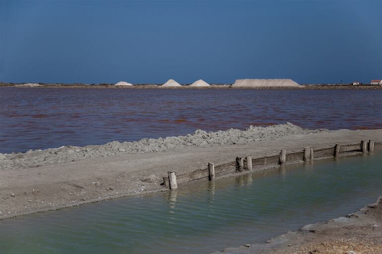 Salinas de Santa Pola, donde el microbiólogo Francis Mojica encontró las arqueas que lo iniciaron todo (paisajesturisticosvalencianos.com).