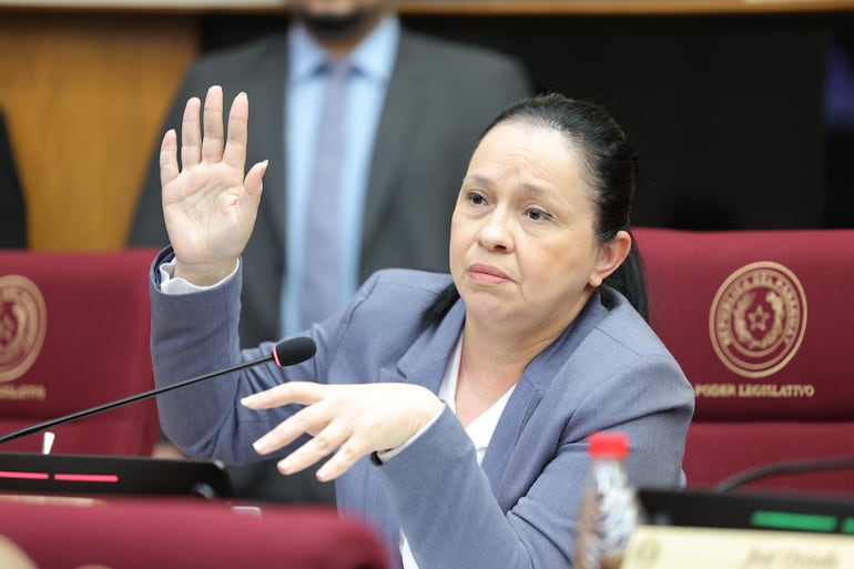 La senadora Yolanda Paredes, de Cruzada Nacional intentó modificar su proyecto para que también sea declarada emergencia nacional por los focos de incendio.