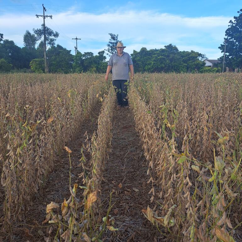 Víctor Hugo Dickel, productor de la zona de Natalio, Itapúa