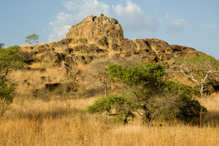 Parque Nacional de Waza, Camerún.