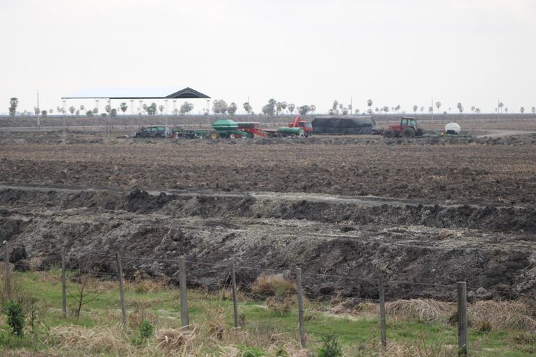 Desde el costado de la ruta PY19 se puede observar el trabajo mecanizado en la preparación de suelos para el cultivo de arroz en la zona de Villa Oliva, departamento de Ñeembucú.