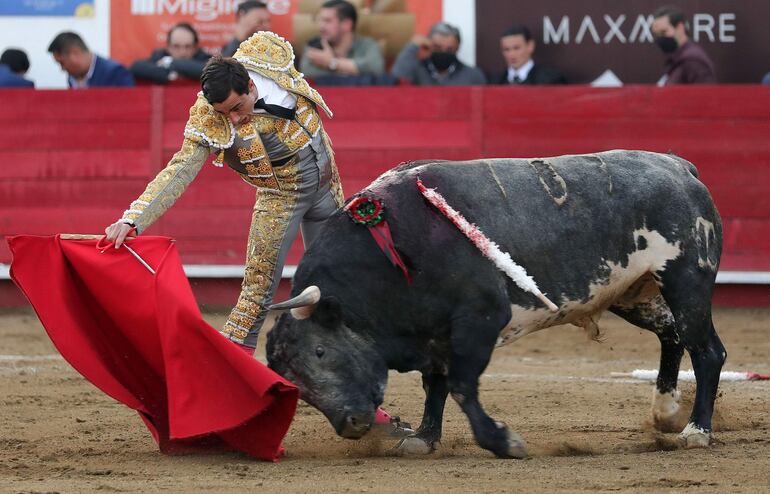 El torero español Paco Ureña, lidiando a su segundo toro 'Emprendedor' de 476 kg, durante una corrida.