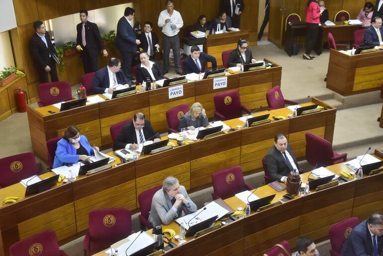 Senadores sancionaron la versión de Diputados. La declaración de emergencia nacional por feminicidio durará 1 año y no de forma permanente como pretendía la versión del Senado.