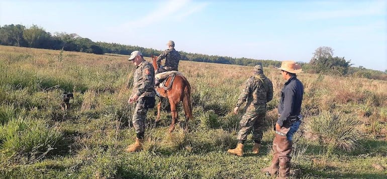 La búsqueda continua a pie y caballo, para lograr dar con los 28 animales vacunos desaparecidos.